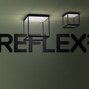 REFLEX²