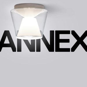 ANNEX