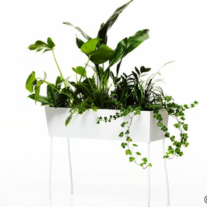 GREEN PEDESTALS - Plant holder _ Offecct