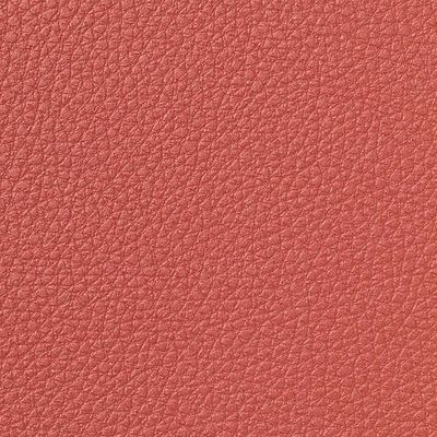 leone plus - 7054.11