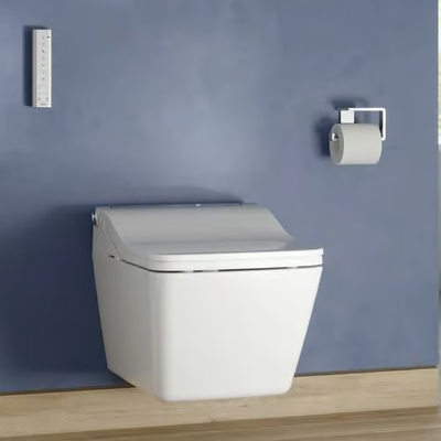 TOTO_WASHLET-SW-AUTO-FLUSH_LiDgalKVlx.jpeg