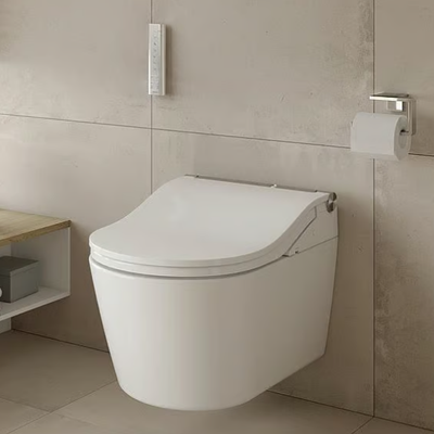 TOTO_WASHLET-RW-AUTO-FLUSH_48Lz9zXp9.jpeg
