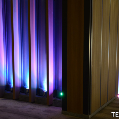 TEKNI-LED_SHARK-3_BcVt1D34h7.jpeg