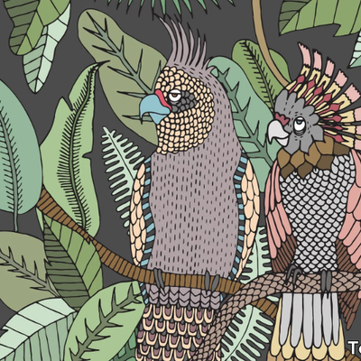 COCKATOO-Texturae-292211-relbb4df137.jpg