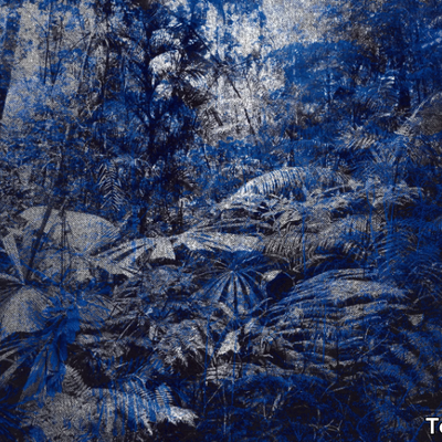 JUNGLE-Texturae-304423-rel61f46e7e.jpg