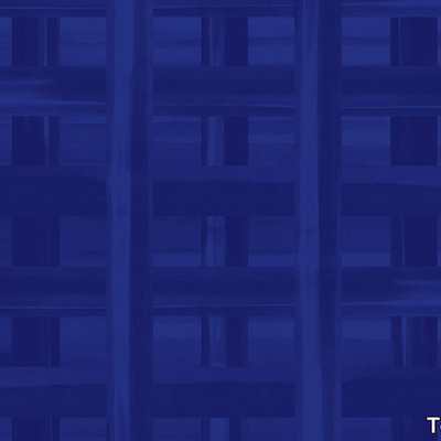PAINTED-WEAVE-Texturae-292447-rel1854e92e.jpg