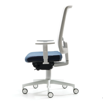 ASSIA-EV-Office-chair-with-armrests-VAGHI-522607-relb9c3bff8.jpg