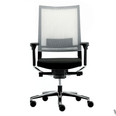 mesh-executive-chair-vaghi-447476-relcd701f80.jpg