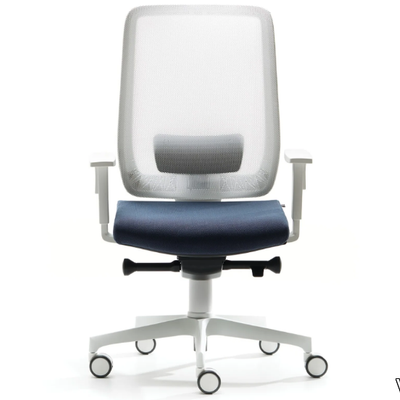 office-chair-with-armrests-vaghi-522607-rel890eda7.jpg