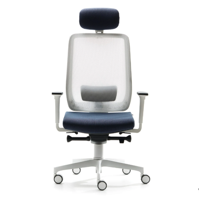 executive-chair-vaghi-522606-relcd792632.jpg