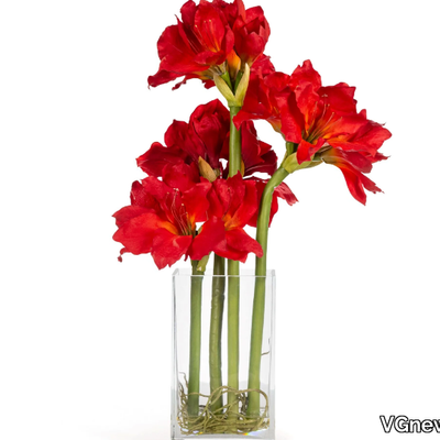 ETERNITY-AMARYLLIS-RADISH-VGnewtrend-585024-rel88752aa4.jpg