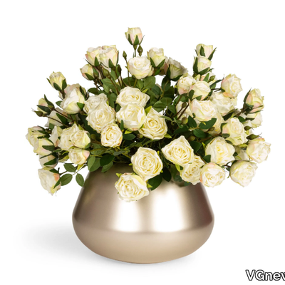 composizione-bean-rose-vgnewtrend-585054-rel3d1cef8f.jpg