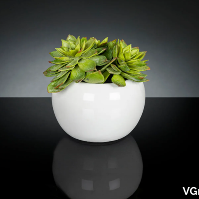 green-ball-vgnewtrend-585342-rel89b06885.jpg