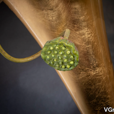 eternity-annalisa-vase-vgnewtrend-585018-rel42f4cf87.jpg