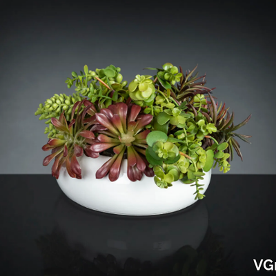 fat-plant-mix-vgnewtrend-585340-rel58e262e9.jpg