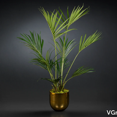 kentia-palm-vgnewtrend-585377-rel220e96f0.jpg