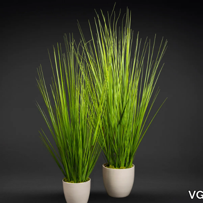 iquitos-vgnewtrend-584894-reled3d8a32.jpg