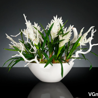 ship-bromelia-vgnewtrend-585129-rel61494550.jpg