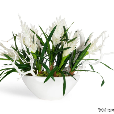 ship-bromelia-vgnewtrend-585129-rel919443b2.jpg