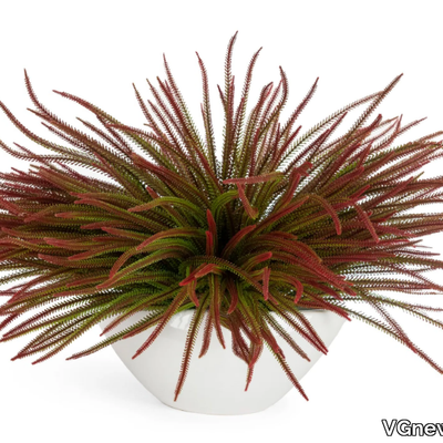 slimpine-bush-vgnewtrend-585132-relf3b9a0cc.jpg