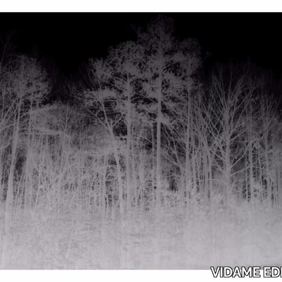 BLAIRWITCH-VIDAME-CREATION-255962-relddd5b8c.jpg