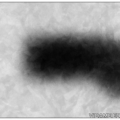 BLUR-18-VIDAME-CREATION-306170-rel290d5f12.jpg