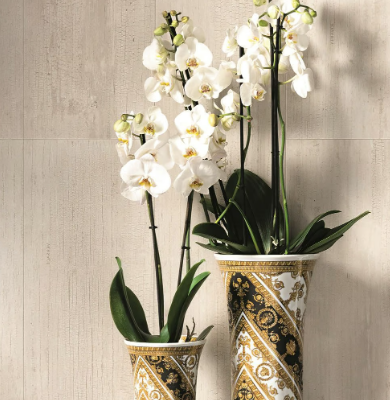 Versace-Ceramics_WHITE_cTI3fPJiWz.jpeg