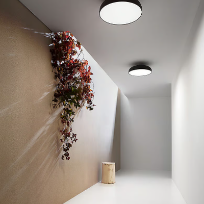 ceiling-lamp-vesoi-605918-rel29744bdc.jpg