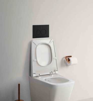 EQUAL-Toilet-seat-Eczacıbaşı-Building-414286-rel625dd5e7.jpg