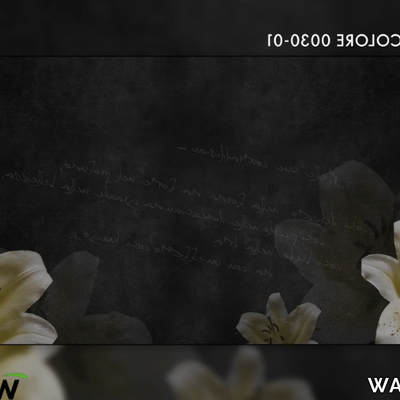LILY-wallyart-420499-rel58996f0e.png
