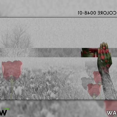 TULP-wallyart-420594-rel79951585.png