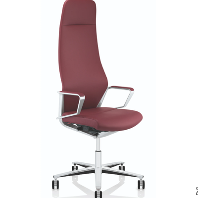 SIGNO-Executive-chair-ZÜCO-447025-rel2e8f43de.jpg