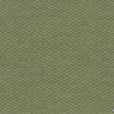 COTTON-FIELDS-AGENA-643435-rel90075bab.jpg