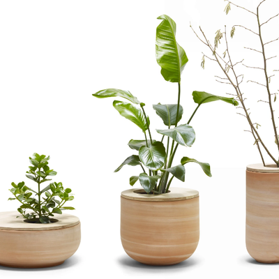 LUR-Vase-ALKI-559045-relc6932f3.jpg