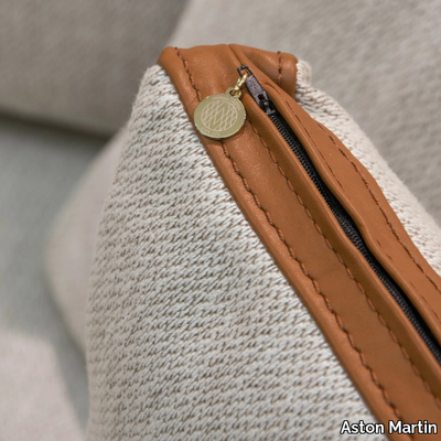 v210-a-2-seater-sofa-aston-martin-by-formitalia-group-632076-rele59b5a17.jpg
