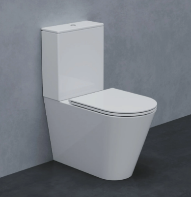 FORMA-Toilet-seat-with-soft-close-AZZURRA-sanitari-297772-reld6f9fccd.jpg