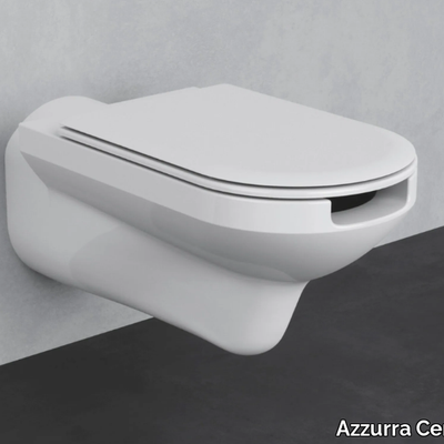 THIN-Toilet-for-disabled-Azzurra-Ceramica-297801-relf9839718.jpg
