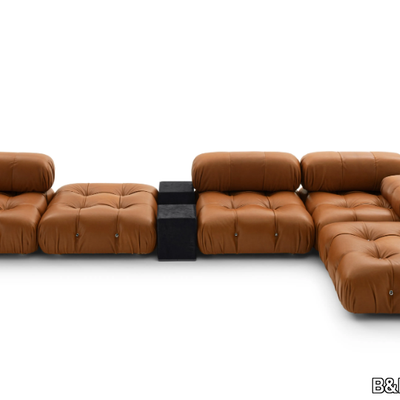 leather-sofa-b-b-italia-448979-relf43ed56.jpg