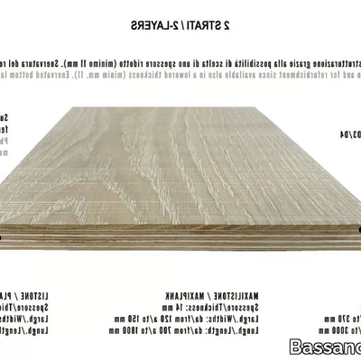 Bassano-Parquet_STEAMED-BEECH_jo7C34c31r.jpeg