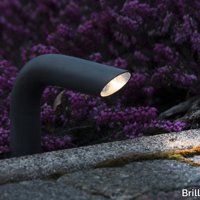 PIPA-Brillamenti-by-Hi-Project-275487-rel65c5fbb6.jpg