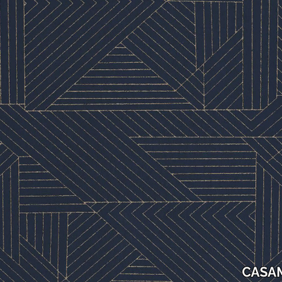 CASAMANCE_PRISME_UkhYA6k7t3.jpeg