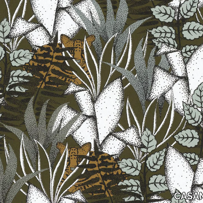 CASAMANCE_TIGRIS_jDAknJ9MZK.jpeg
