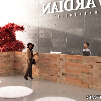 CRAFTWAND-Reception-desk-CRAFTWAND-305998-rel6cb80790.jpg
