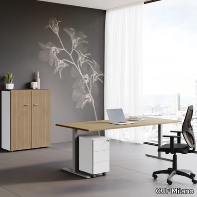 ISOLA-Rectangular-office-desk-CUF-Milano-387759-rel91e3c6cb.jpg