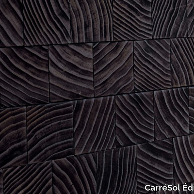 CarreSol-Editions_PAVES-DE-PARIS-VELOURS-BRULE-BRUT_7AhqWDurzH.jpeg