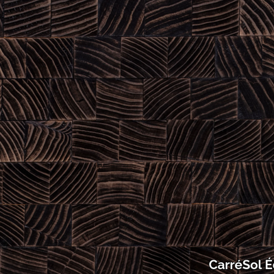 CarreSol-Editions_PAVES-DE-PARIS-VELOURS-BRULE-BRUT_TmUc9kAPx.jpeg