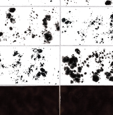 inchiostro-simpatico-sampling-danilo-ramazzotti-italian-house-floor-247827-rel4b7ac3ab.jpg