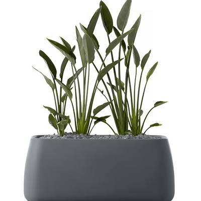 gobi-5-planter-gandia-blasco-366716-releb5b18be.jpg