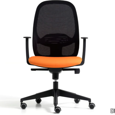 office-chair-with-armrests-diemme-465510-rel25ac818b.jpg