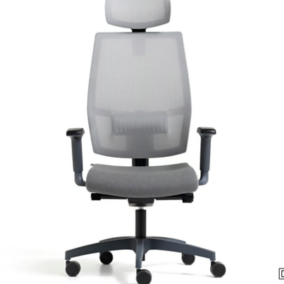 executive-chair-diemme-465515-rel4f3bce0f.jpg